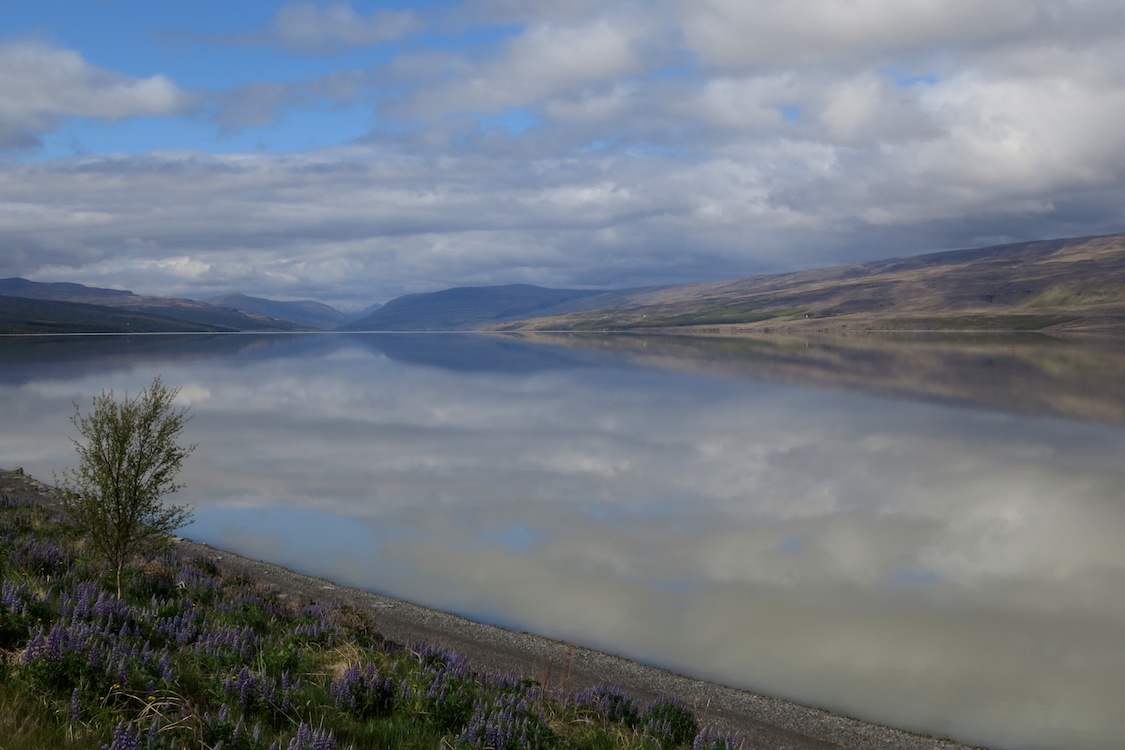 Lagarfljót, Iceland